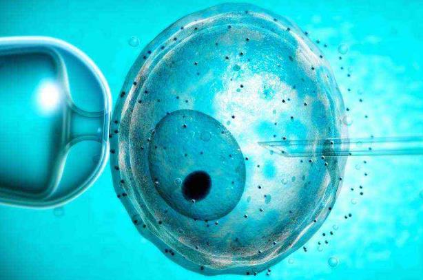 2022最新中国十大试管婴儿医院成功率排名？