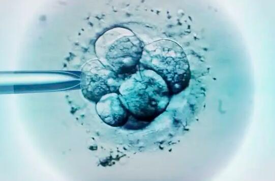 呼和浩特做试管要花多少钱？附详细费用情况？