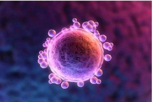 全国可以供卵的公立医院排名前五是哪些？