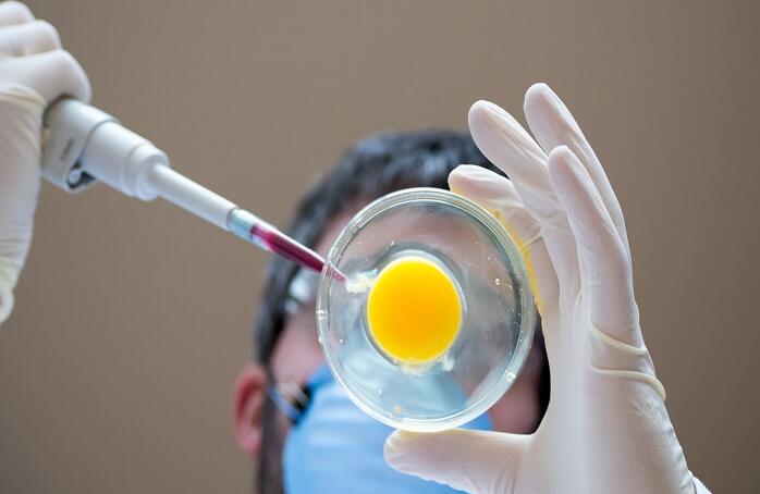 2022全国最出名的公立试管医院排名？