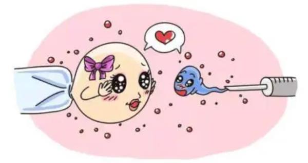 安徽省宿州市供卵试管代怀生子医院排名？附供卵机构名单一览？