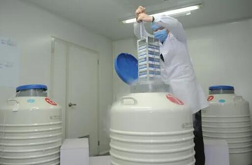 做一次试管买精子要花多少钱？附无精做试管费用明细？