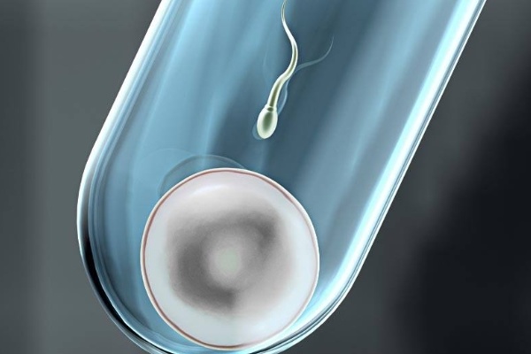 绍兴试管代怀生子医院排名？附试管助孕机构费用成功率参考？