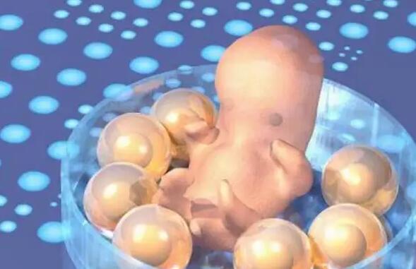 11个胚胎养囊能养多少？附胚胎养囊数量