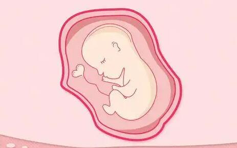 海南供卵试管不排队的医院有哪些？海南供卵试管去哪做？