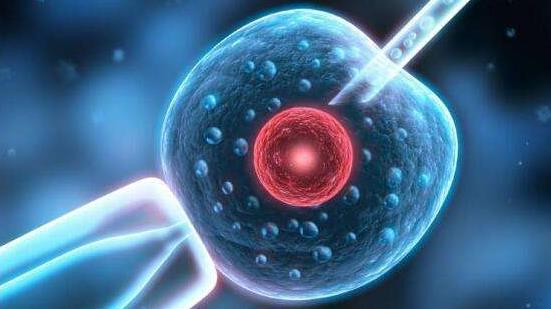 解放军总医院第一医学中心可以做供卵试管婴儿吗？