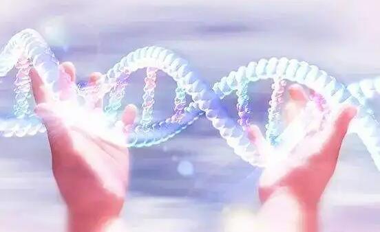 代怀生子什么意思？附详细代怀方法？