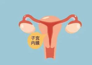 广州借卵试管代生机构排名？附详细介绍？