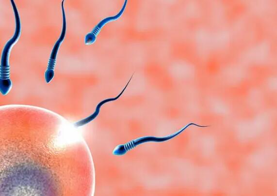 梅州市人民医院供卵试管成功率？附成功率数据详情？