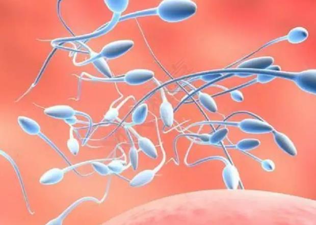 男性精子碎片率高达80%可以做三代试管吗？