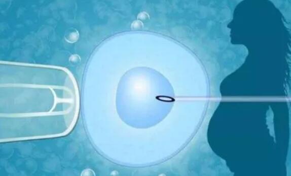 在哪里可以找到付费代生的人？代生要花多少钱？