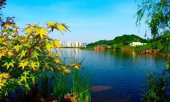 2022年在湖南长沙有供卵不排队的医院吗？国内医院供卵的条件？