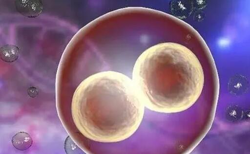 佛山试管婴儿医院排名？2022上榜机构成功率与费用参考？