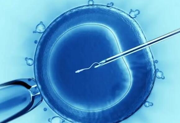 成都代怀公司排名哪家强?附详细介绍?