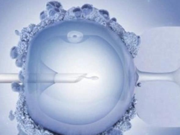 山东省妇幼保健院可以做供卵试管婴儿吗？第三代试管成功率高吗？