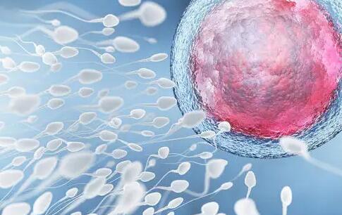 2022粤北人民医院供卵试管成功率？附助孕成功率预估表？