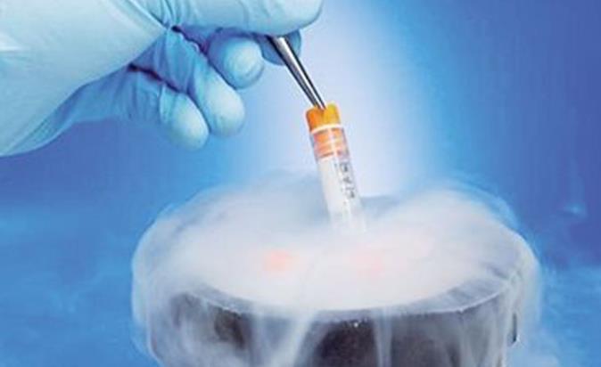 山东齐鲁医院和省立医院哪个医院做试管成功率高？