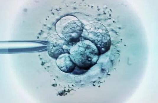 驻马店试管婴儿医院排名前十的有哪些？附详细费用成功率