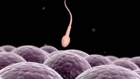 宁波精子库医院在哪？申请精子库需要具备哪些条件？