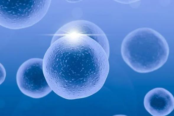 南昌市妇幼保健院三代试管婴儿包生男孩价格多少？