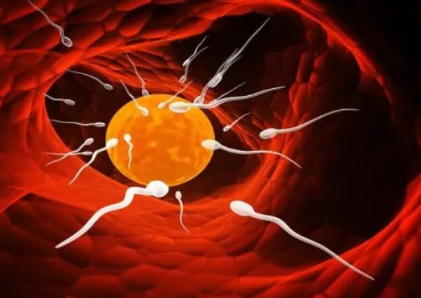 Y精子微缺失如何通过三代试管婴儿避免遗传给下一代？