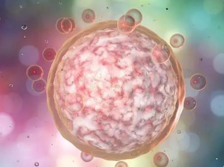 上海试管婴儿代怀生子医院排名，高龄夫妻不要错过了！