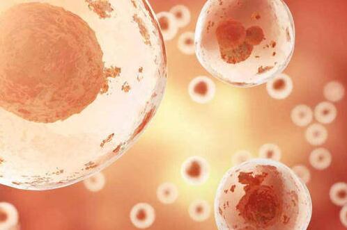 南宁供卵试管医院排名？哪里有供卵的医院？