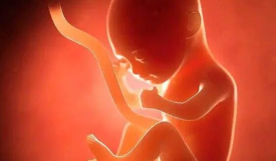 清宫测试怀孕男女表准吗？附详细成功率？