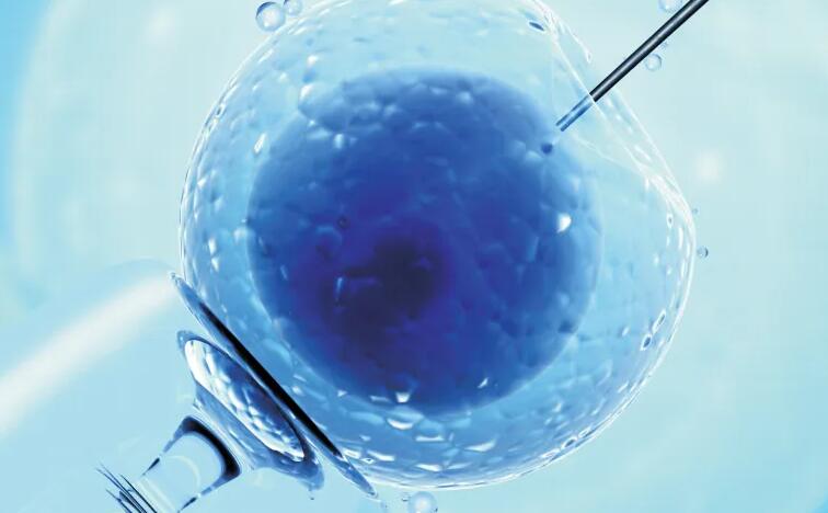 河北供精试管去哪做好？附详细供精试管信息