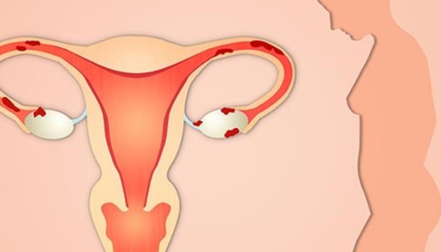 做过试管婴儿的女性卵巢衰老快吗？