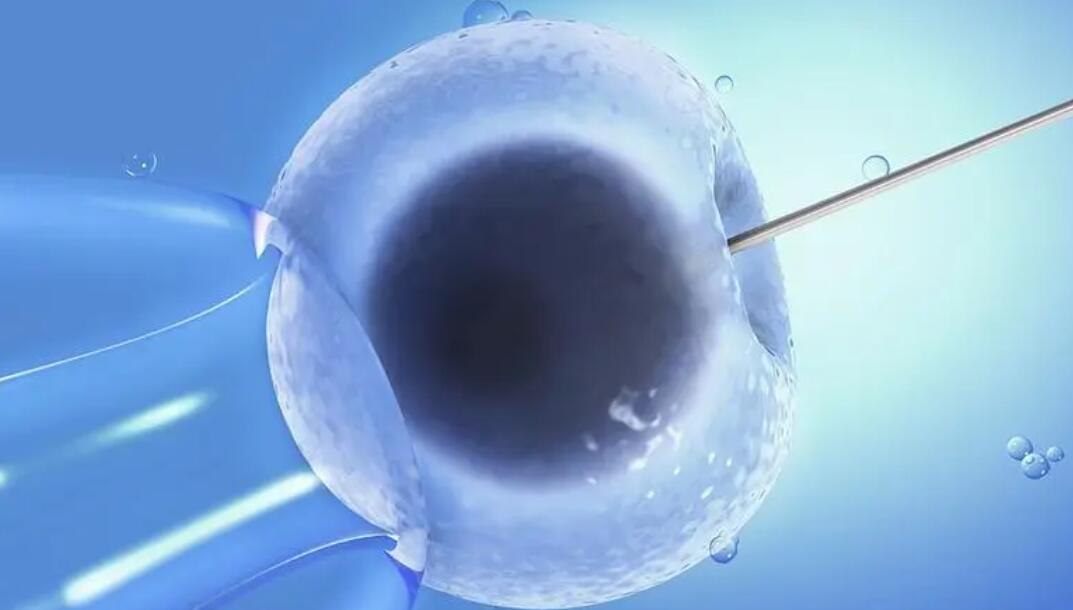 做供精试管要多少钱才够？附供精详细费用？