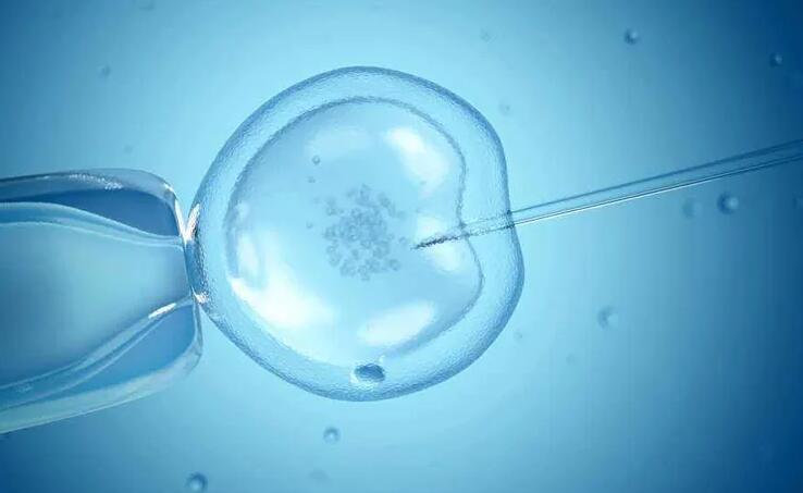 2022试管收费价目表？试管费用大头有哪些？