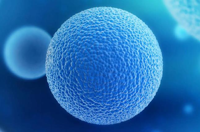 广东供卵试管婴儿医院排名？供卵医院有哪几家？