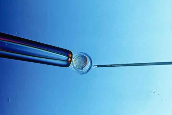 武汉大学中南医院可以做供卵试管婴儿吗？试管婴儿成功率高吗？