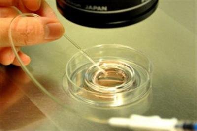 第三代试管包生男孩多少费用？海外试管包生男孩费用明细？