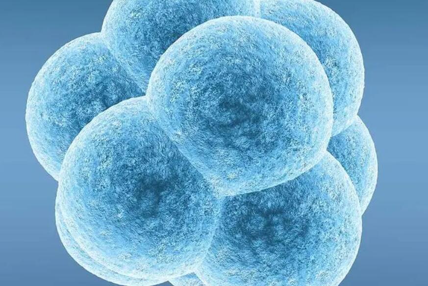 公立医院申请供卵试管有年龄限制吗？供卵试管多少岁能做？