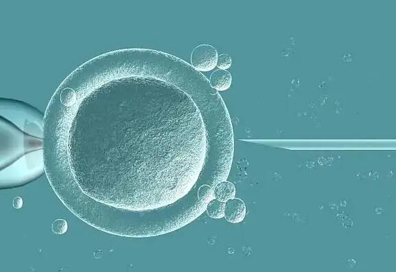 福建试管代生机构排名哪家强？附详细费用？