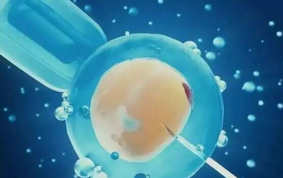 供卵试管哪家医院可以做？做供卵费用是多少钱？