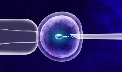 卵子成熟障碍促排也没用是真的吗？能做试管吗？