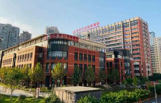 重庆市妇幼保健院可以做供卵试管婴儿吗？费用贵吗？