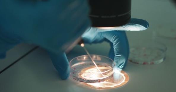 2022年湖州市妇幼保健院做试管婴儿包生男孩价格多少？