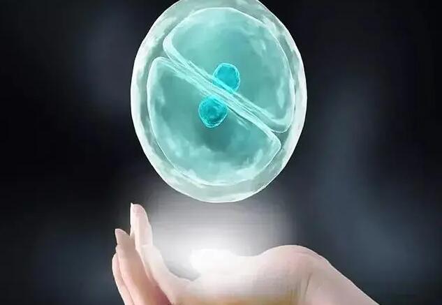 子宫畸形试管医院排名前十有哪些？附排名详情？