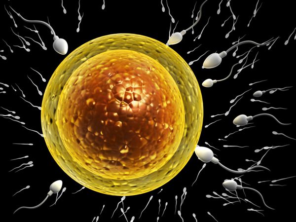 青海供卵试管婴儿医院排名？附成功率费用明细？