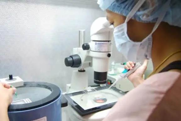 珠海供卵试管婴儿生男孩医院排名？试管最好的医院？