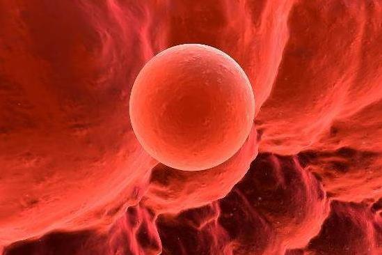 兰州大学第一医院做供卵试管一般要等多久？