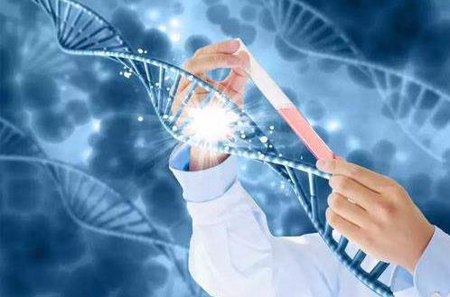 夫妻基因不匹配怀不上孩子怎么办？做第三代试管能实现吗？