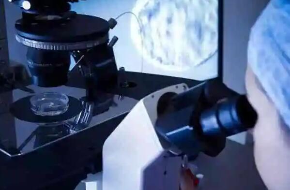 做借卵试管一粒卵子多少钱？附费用详情