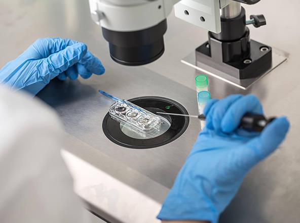 国内正规的有人类精子库吗？精子库人工授精成功率高吗？