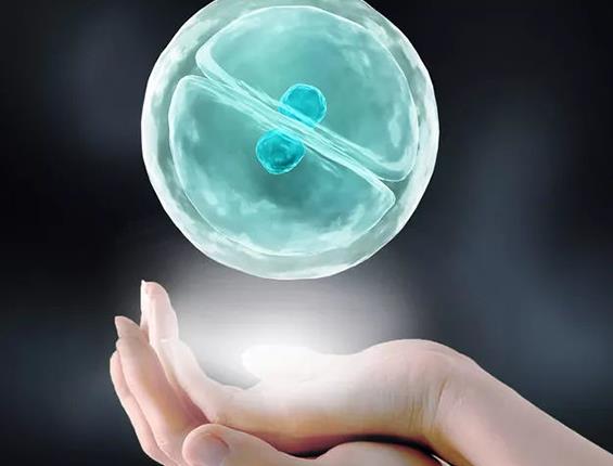 上海市第九人民医院可以做供卵试管婴儿吗？成功率高吗？