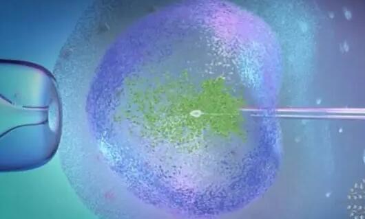 国内地下试管机构可靠吗？附详细地下试管机构排名？